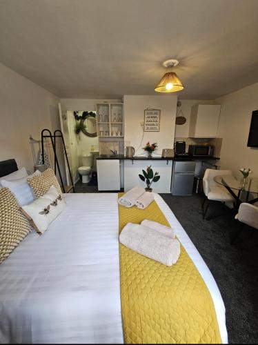 Stylish Studio Stevenage in Stevenage