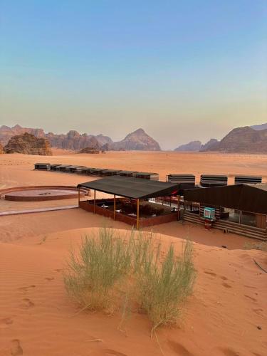 Wadi rum sky luxury - image 5