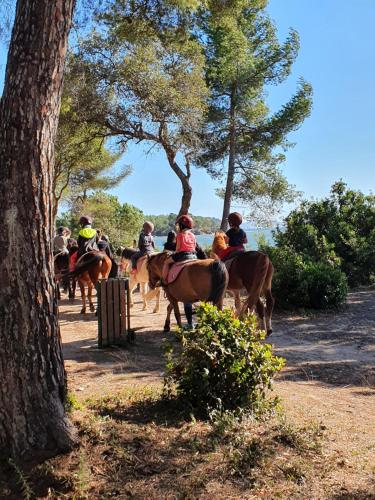 Chalet Melrose - Camping Parc Valrose