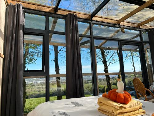 Sky gazer cabin in the woods, Dublin
