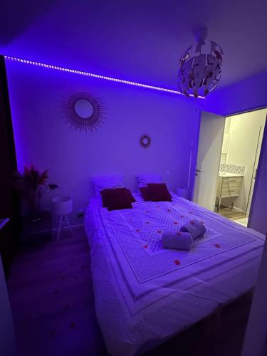 Priv8Spa New Love Room Jacuzzi Privée, Tuluza (zdjęcie 4)