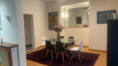 Familie appartement ruim en licht centrum Athene, Athens (photo 3)