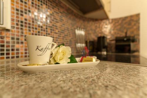 设施服务, Ruhiges Studio in der Villa Musica mit privatem Sitzplatz & Gemeinschaftspool in 伦茨堡