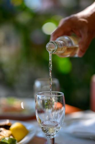 Pappas Hotel - image 12