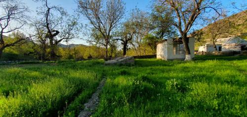 Kakhar Yurt stay & Mountain village in Forish