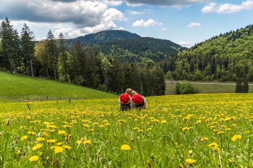 Feriendomizil am Rössleberg, Hinterzarten