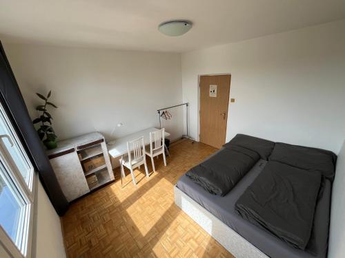 Private room in a shared park-side apartment with a great connection to the city center