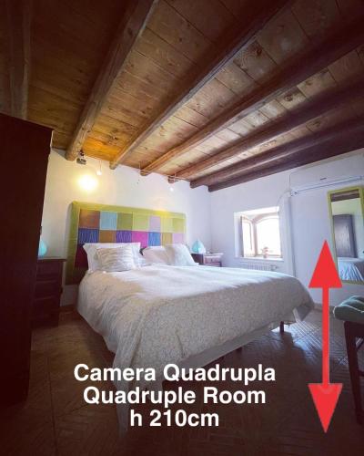 Kasa Kala - image 11