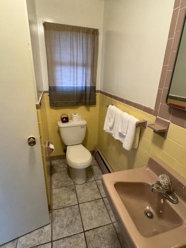 Thruway Holiday Motel - image 8