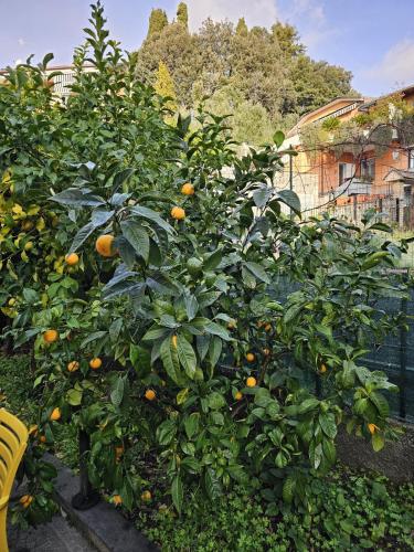 Marty&Olly Luxury Garden Apt Marty&Olly Luxury Garden Apt