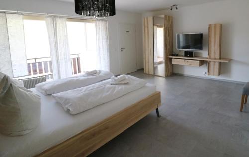 Spechtsboden C4- hochwertige Ferienwohnung mit 2 Schlafzimmer in Todtnauberg- Ski In and ski out, Feldberg