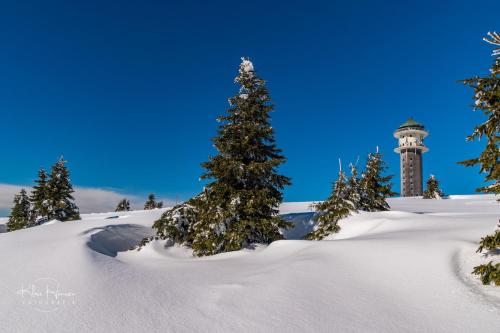 Spechtsboden C4- hochwertige Ferienwohnung mit 2 Schlafzimmer in Todtnauberg- Ski In and ski out, Feldberg