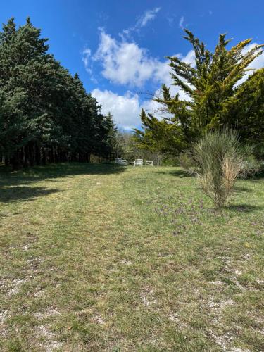 Il Cardo – Foligno, CT