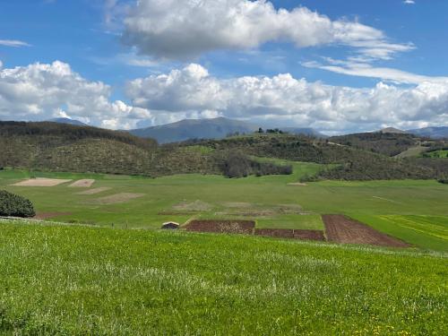 Il Cardo – Foligno, CT