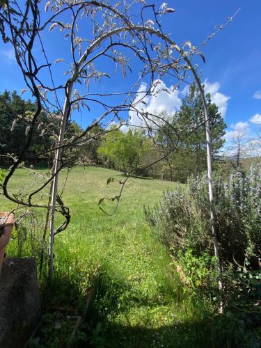 Il Cardo – Foligno, CT