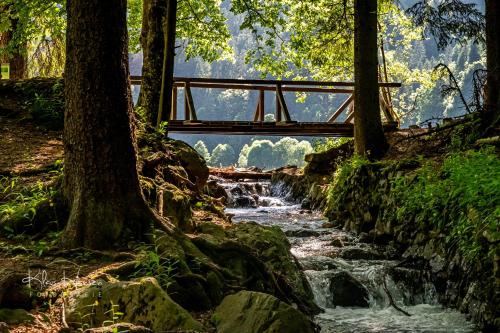 Fewo Turmblick - [#122934] - image 10