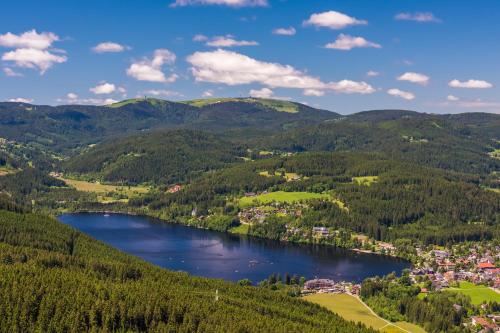 Fewo Turmblick 2.9km von Steinwasenparkloipe entfernt