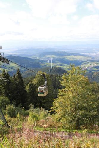 Ferienwohnung Schwarzwaldtraum - 2Zi - Feldberg