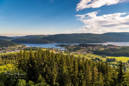 Ferienwohnung Schwarzwaldtraum - 2Zi - Feldberg in Ortsstrasse