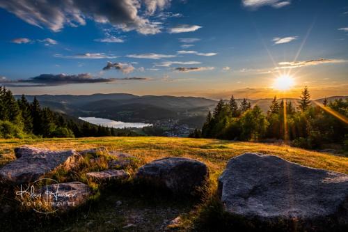 Ferienwohnung Schwarzwaldtraum - 2Zi - Feldberg 1.2km von Hans Dietsche Weg entfernt