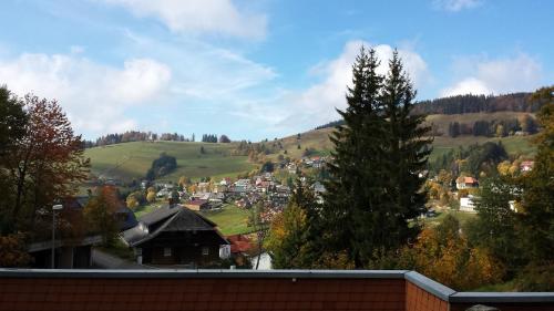 Fewo 2 - Residenz Schauinsland -Sauna, E-Ladestation, Schauinsland- Todtnauberg, Liftverbund Feldberg