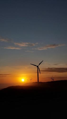 Casas del Bosque Necochea