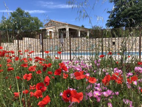 Chambre d'hôtes Bambou - Accommodation - Lagorce