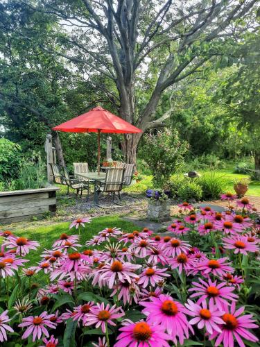 Finger Lakes Wine Trail "Heart" Garden Suite