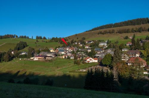 Apartment 03 - Ferienresidenz Roseneck, mit Schwimmbad in Todtnauberg bei Feldberg Apartment 03 - Ferienresidenz Roseneck, mit Schwimmbad in Todtnauberg bei Feldberg