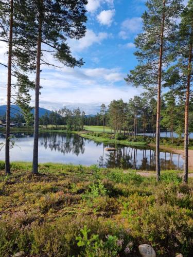 Alrededores, Vrådal Golf Clubhouse With Views Of The First Tee! (Vradal Golf Clubhouse With Views Of The First Tee!) in Vradal