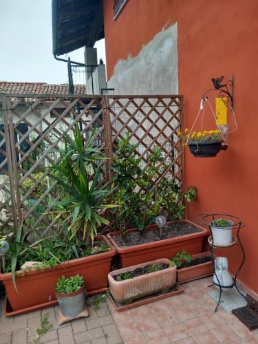 Casa Carolina in Castellinaldo