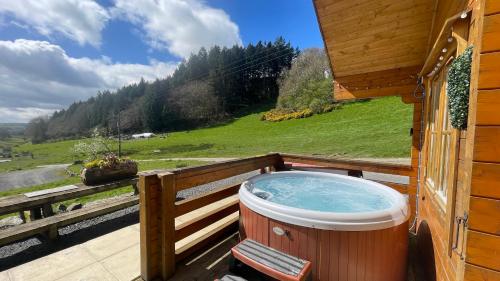 Iekārtas, Bothy Cabin -Log cabin in wales - with hot tub in Bettws Cedewain