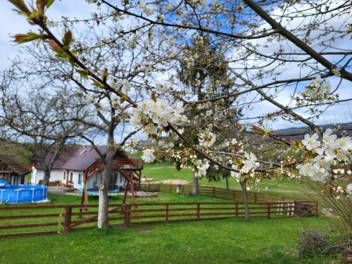 Chalupa Romantik na Hrinovskych lazoch - Chalet - Hriňová