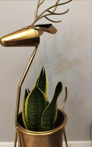 Your loft in เซย์นาโจคิ