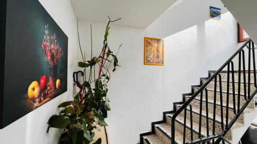 T&T Panorama Apartment in 布勞斯泰因