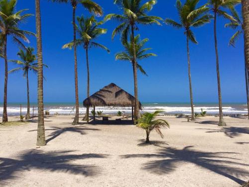 สภาพแวดล้อมโดยรอบ, Pousada Estrela Feliz in คานาเวียอิรัส