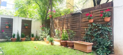 ZEN Garden Apartment
