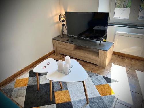 Iekārtas, Très bel appartement avec jardin et Jacuzzi (Tres bel appartement avec jardin et Jacuzzi) in Scey-sur-Saone-et-Saint-Albin