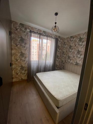 Nanuka and Giorgi's house