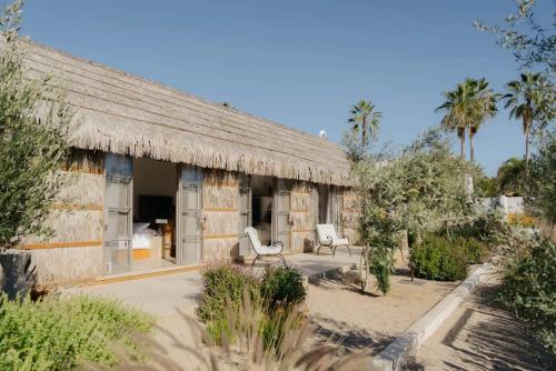 Casa Crisálida en Todos Santos