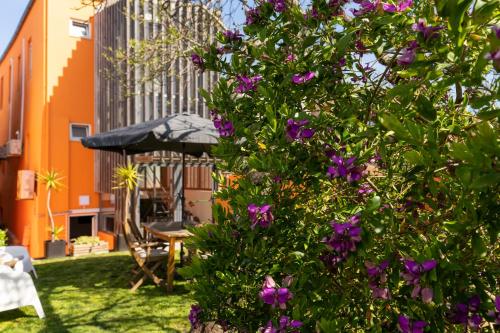 Peach Hostel & Suites 5