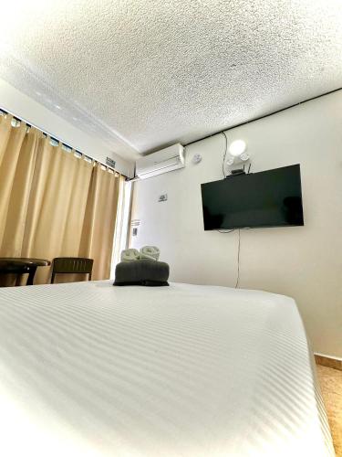 Confort, privacidad y gran ubicación en San Andrés, San Andrés (fotografie 5)