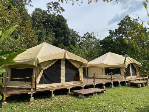 Canopy Villa Glamping Park - Kuala Lumpur