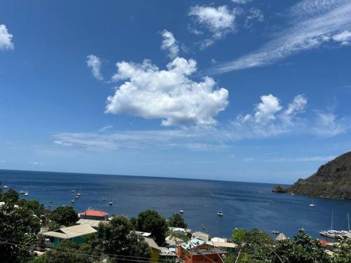 Ocean View Apartment in סאופרייר