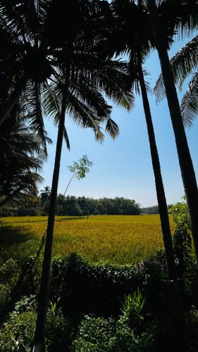 Namasthe Inn AC, Ottapalam-Palakkad Highway, Lakkidi in Lakkidi