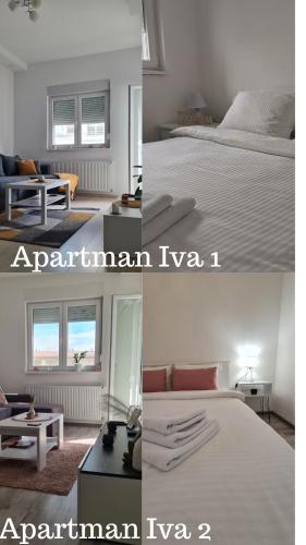 Apartmani Iva - Apartment - Banja Koviljača