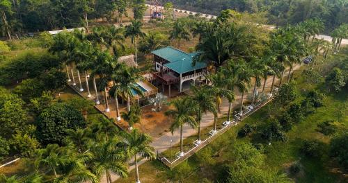 Luxury Jungle Estate Near Placencia peninsula--Exotica