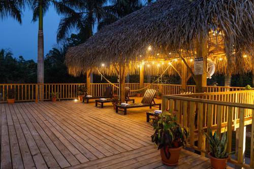 Luxury Jungle Estate Near Placencia peninsula--Exotica