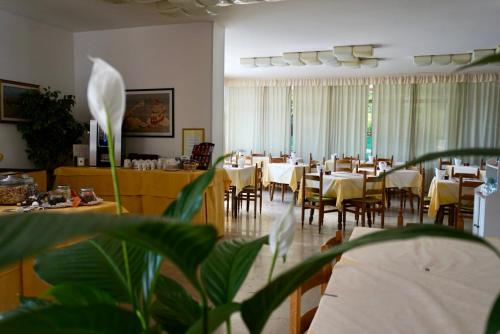 Hotel Diana - image 6