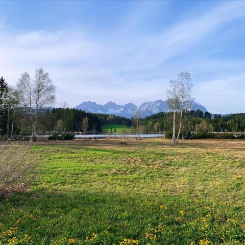 Waldnest, Kitzbühel (foto 4)